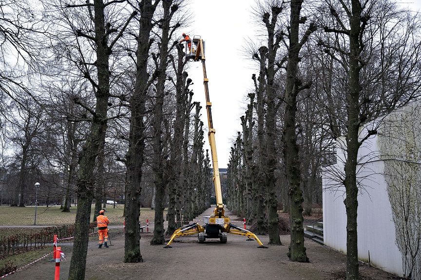 Der er meget stor forskel på, i hvilken grad kommunerne i hovedstadsområdet er villige til at lade private løse opgaverne.
