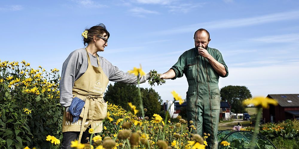 Langt de fleste kvindelige ukrainere er ansat i landbruget. Agri Nord forventer derfor, at de kommende kvindelige flygtninge fra Ukraine hurtigt kan få job i den branche. Også selvom de er ufaglært.