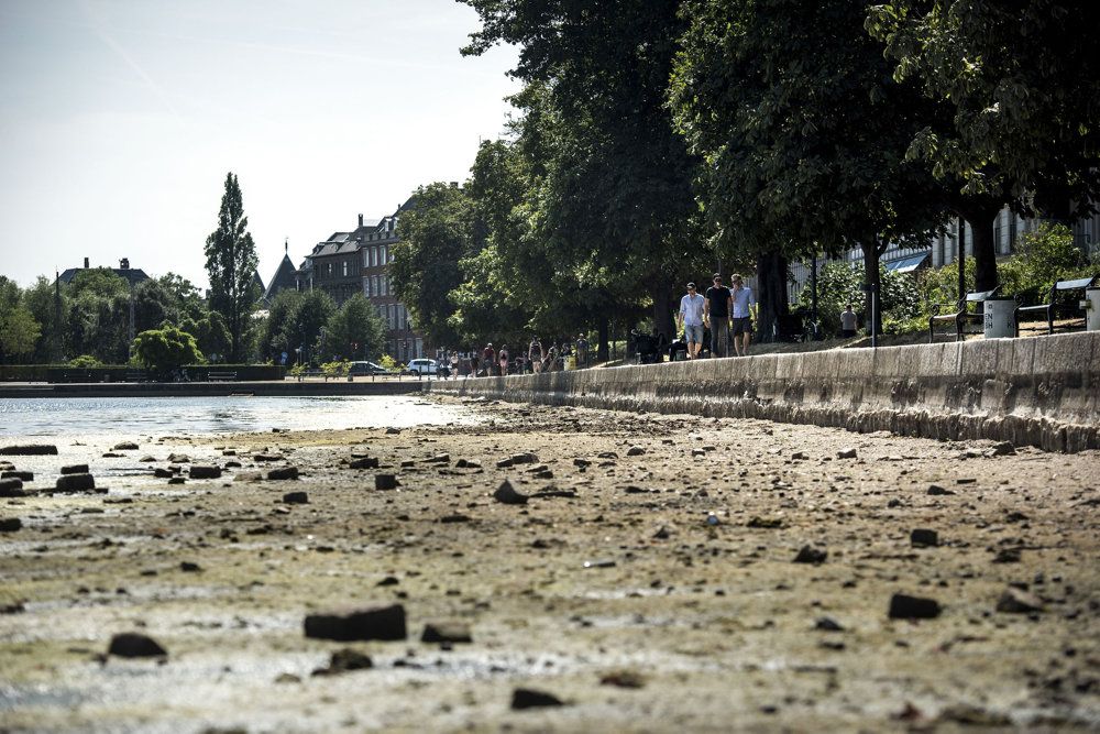 I København tørrede søerne ud under den ekstremt varme og tørre sommer i 2018. Tørke og hedebølge er en risikofaktor, vi skal indstille os på, lyder det fra Beredskabsstyrelsen i en opdateret risikovurdering. (Arkivfoto).