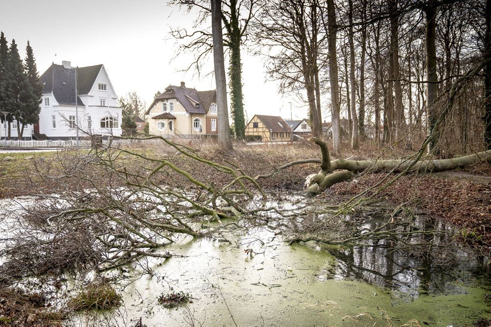 Februar 2022 blev en usædvanlig våd en af slagsen, konkluderer Danmarks Meteorologiske Institut. Midt på måneden blev Danmark også ramt af stormlavtrykket Nora. (Arkivfoto).