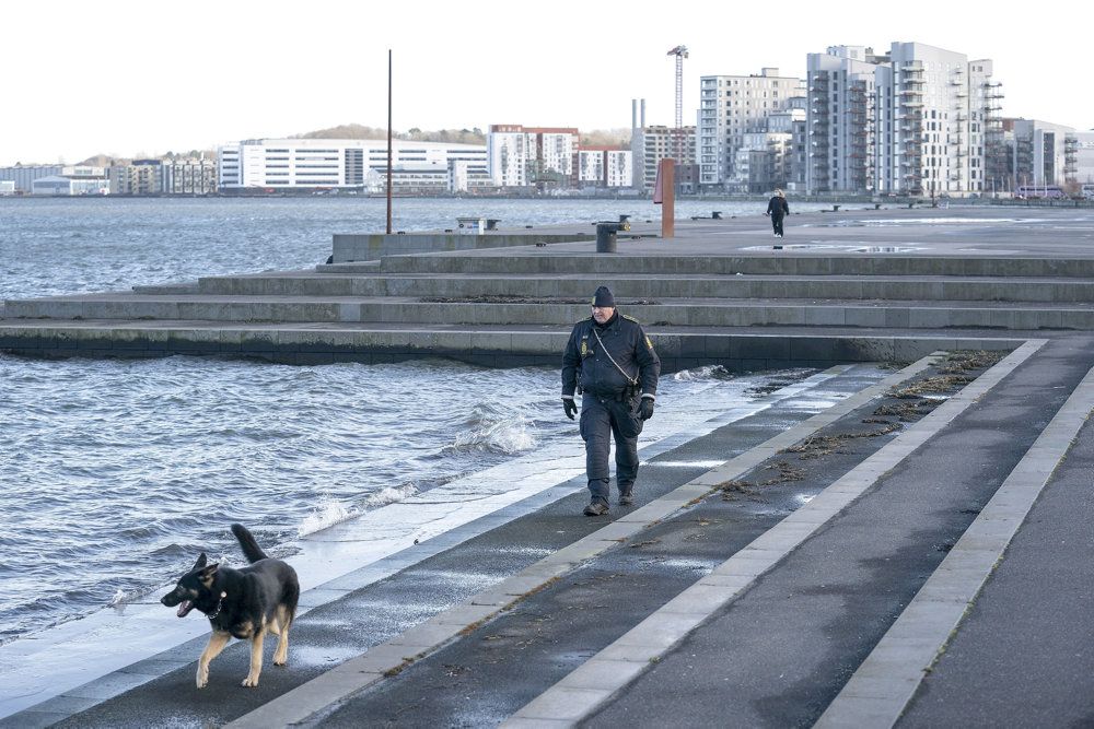 Trygfonden frygter en stigning i 2022 i antallet af drukneulykker på havne, skriver Jyllands-Posten. (Arkivfoto).