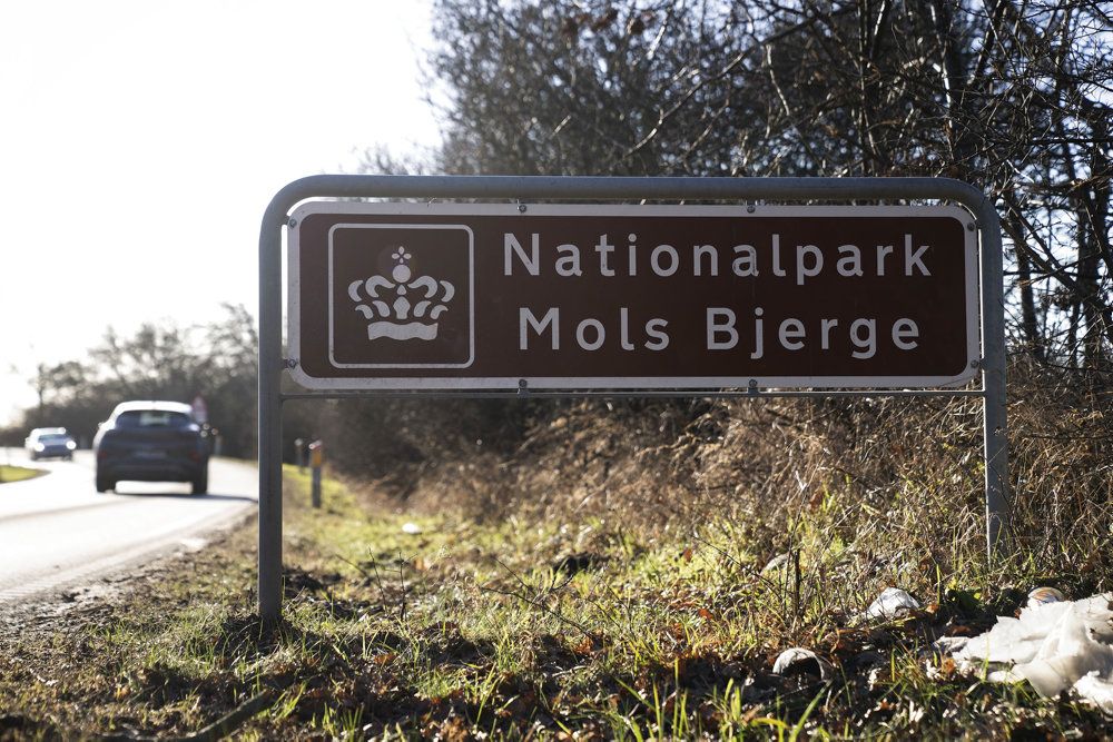 Mols Bjerge er i dag nationalpark, men skal fremover være naturnationalpark. Det har på forhånd skabt debat i lokalområdet. (Arkivfoto).