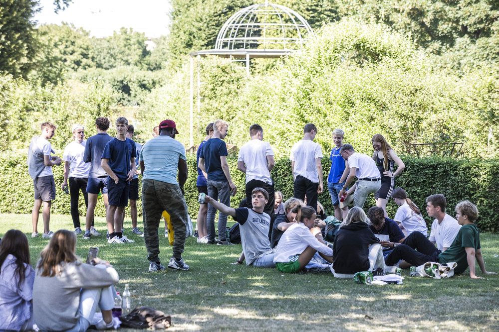 Især under coronapandemien blev der holdt mange fester i landets parker. Her tog de unge selv højttalere og alkohol med, og beboere i områderne klagede over støj. Flere kommuner ønskede derfor at indsætte private vagtværn eller såkaldte tryghedsvagter.