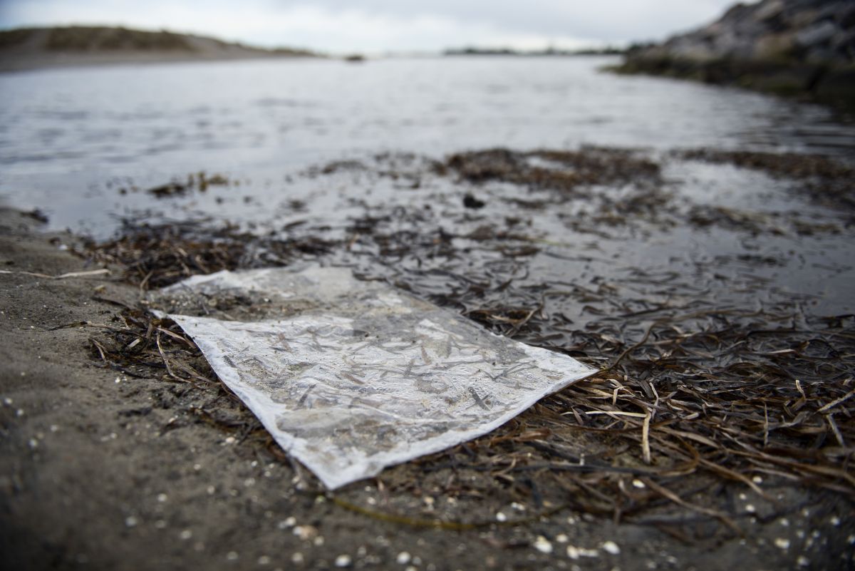 I Slagelse Kommune har man i flere år opsamlet opskyllet tang og affald og smidt det tilbage i havet. Det har udenlandske medier, blandt andet New York Post, skrevet om.