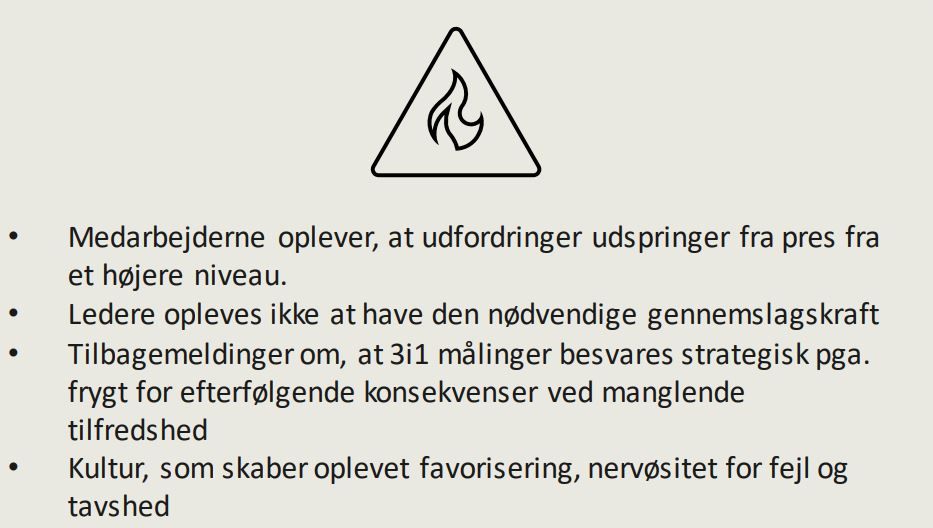 Der er en myriade af udfordringer, som der er presserende brug for at blive handlet på i Nyborg Kommune, vurderer konsulentfirma. Uddrag fra slide.