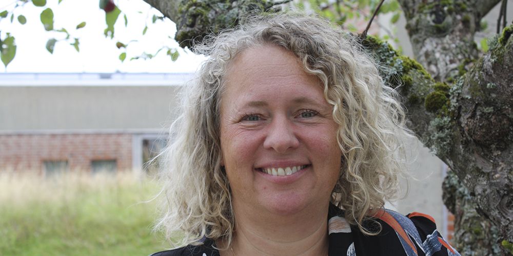 Det er frontmedarbejderen, der skal have kompetencerne til at vurdere den arbejdsløse, lyder det fra professor Dorte Caswell. Men et godt IT-profileringsværktøj kan være en hjælp.