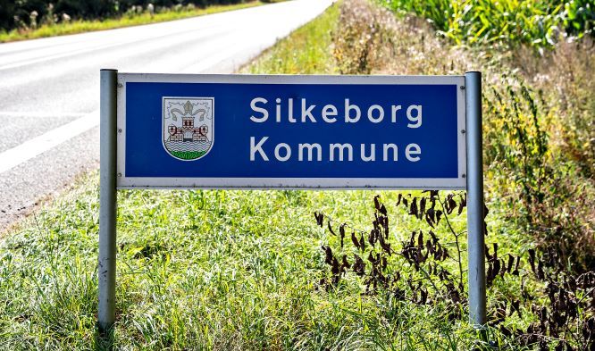 En mindesten for faldne danske soldater i tysk tjeneste under Anden Verdenskrig er blevet et politisk emne i Silkeborg Kommune.