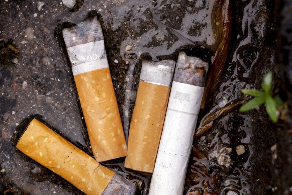 Tobaksindustrien skal fra januar næste år betale 32 millioner kroner årligt til landets kommuner, der står for oprydning af cigaretskod i naturen.