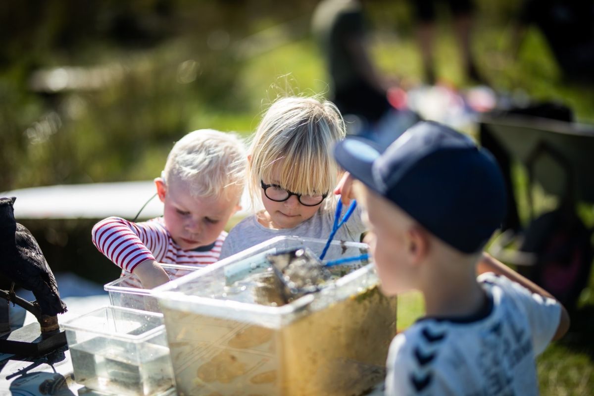 Aalborg bliver søndag officielt certificeret som børnevenlig kommune af UNICEF.