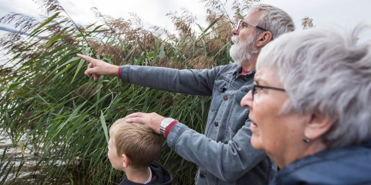 Danmarks første naturpark - Naturpark Åmosen - i Vestsjælland bliver måske udpeget til nationalpark. Det 8.500 hektar store naturområde er specifikt nævnt i regeringsgrundlaget.