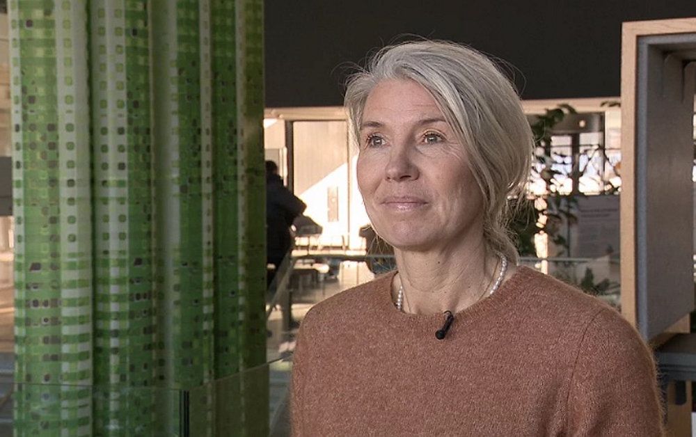 Helle Mølgaard og de 150 medarbejdere i PPR i Aarhus Kommune kan ikke følge med de mange henvendelser.