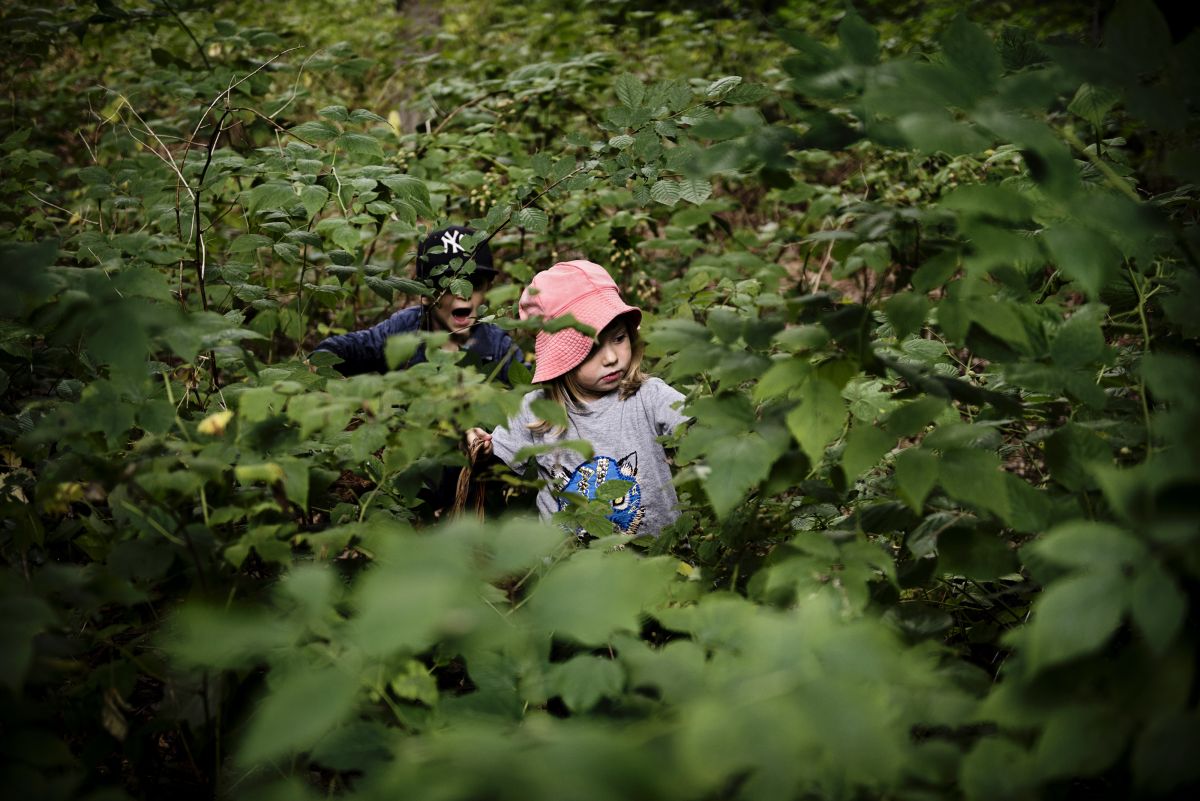 Kommunernes måder at beregne priser på dagtilbud er noget af en jungle. Hos Danske Daginstitutioners Landsorganisation mener man, at der er behov for en transparant regnemetode, som giver forældrene mulighed for, at tjekke om et barn i et privat dagtilbud får sammen tilskud som et barn i et kommunalt.