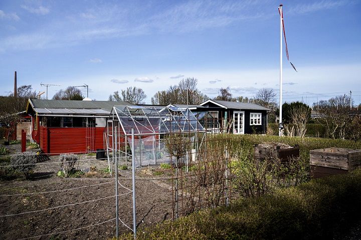 Kolonihaven på billedet er ikke det omtalte område fra artiklen.