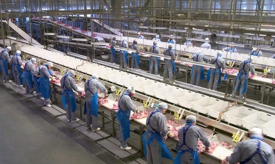 800 ansatte hos Danish Crown i Sæby mister deres arbejde. Borgmester i Frederikshavn Birgit S. Hansen er rystet og "vred".