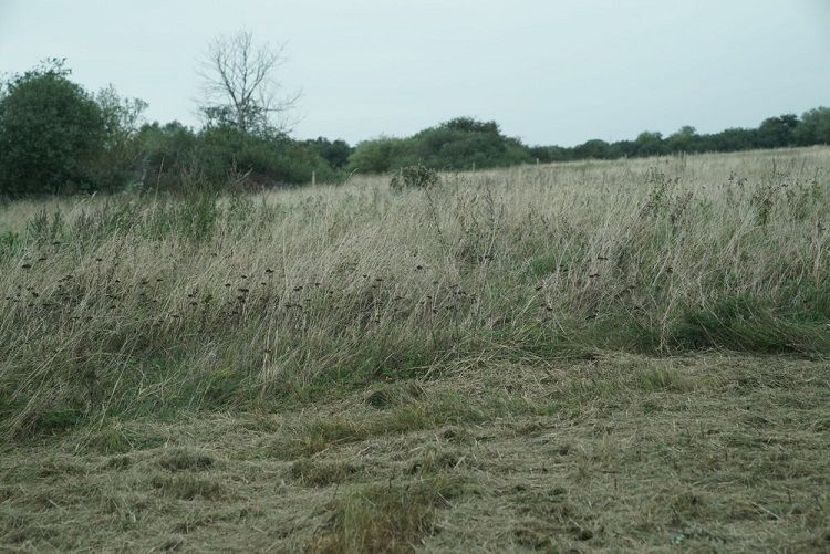 Kombinationen af sommerhuse og natur giver behov for afbrændingsforbud i Holbæk, Kalundborg og Odsherred Kommune, siger beredskabsdirektør.
