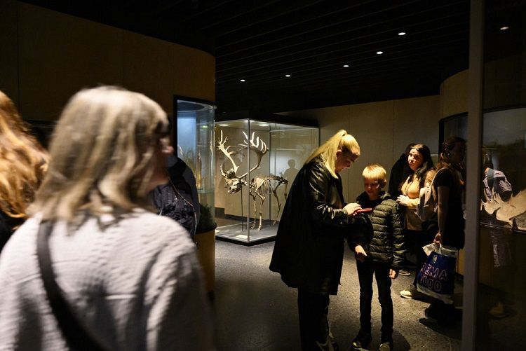 En række kommuner landet over modtager stadig frynsegoder. Men i Odense og Aalborg må lokalpolitikere ikke længere modtage årskort til zoologiske haver som frynsegoder.