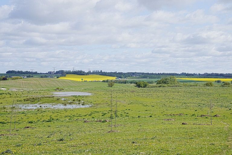En vigtig del af vejen mod at nå målet om 70 procents reduktion af drivhusgasser i 2030 er at tage 100.000 hektar kulstofrige, klimabelastende lavbundsjorder ud af drift.