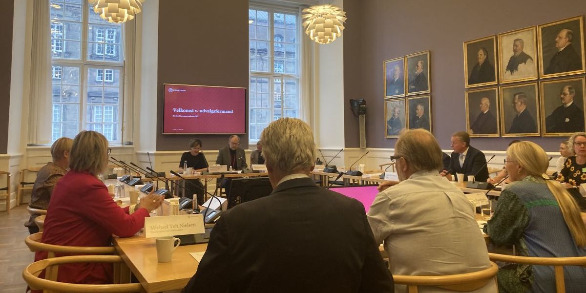 NB-Ældre var til stede på Christiansborg, da ældreudvalget onsdag havde arrangeret en offentlig høring om "det gode ældreliv".