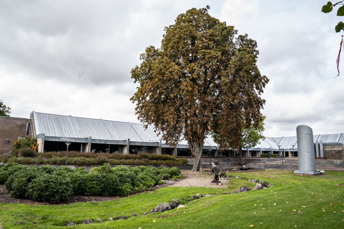 På rådhuset i Odder står man klar med et erstatningskrav i millionklassen, hvis det lykkes at placere et ansvar for ulovligt fældede træer i kommunen.